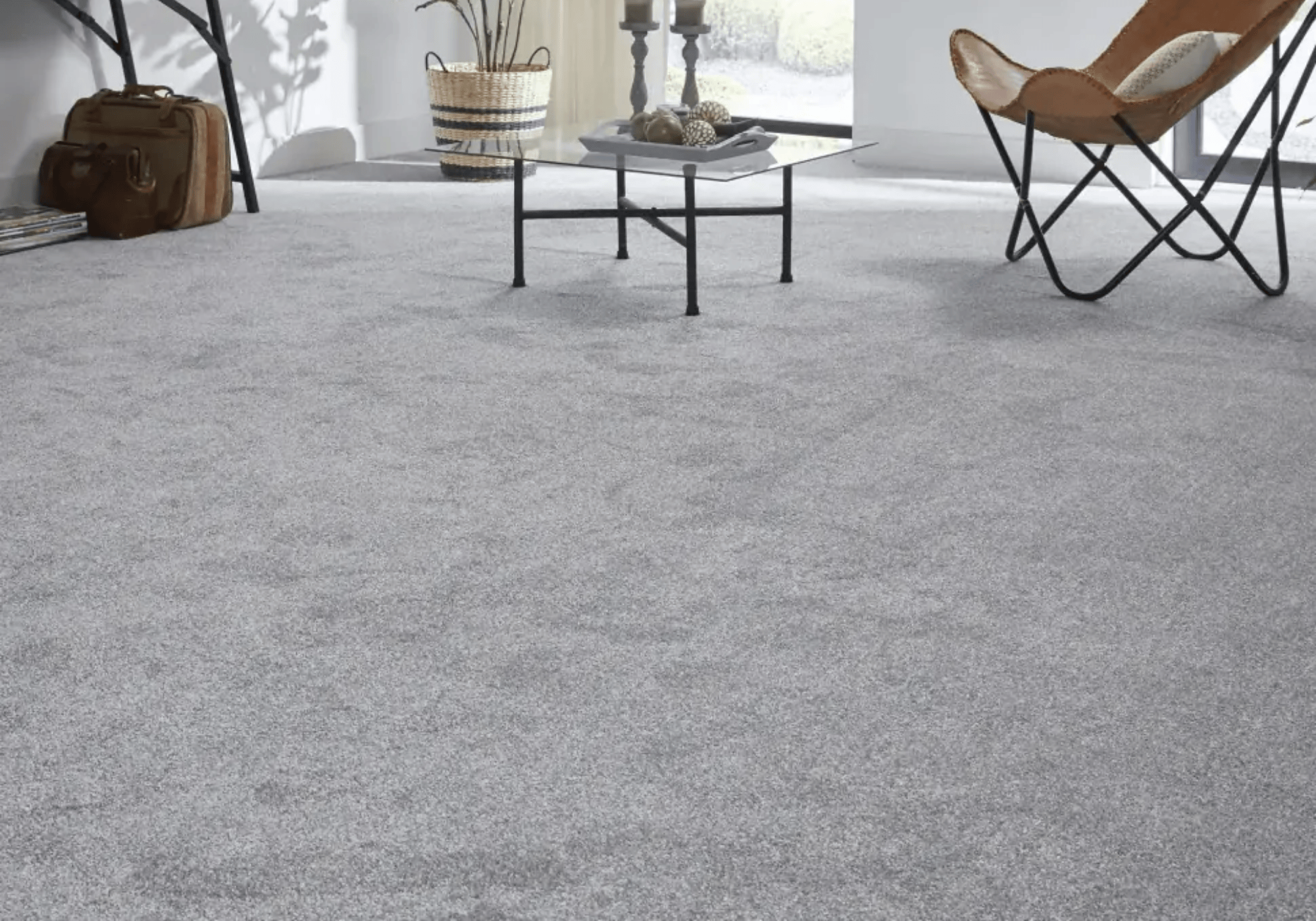 TB Elliott Flooring - Twist Pile Carpets